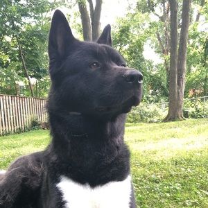 Meet your Posher, Jack